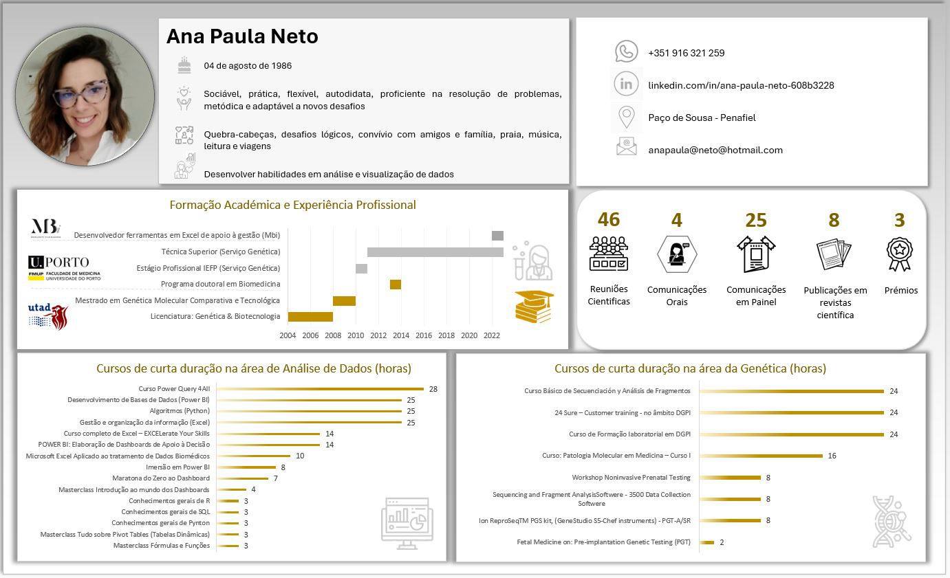 Currículo em formato de dashboard Excel, com cronologia académica e indicadores